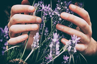 Drumnmoyne thai massage herb